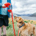 Многофункциональный поводок для собак 5 в 1 Pet Essentials 
