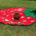 Пляжное покрывало Beach Towel Клубника 